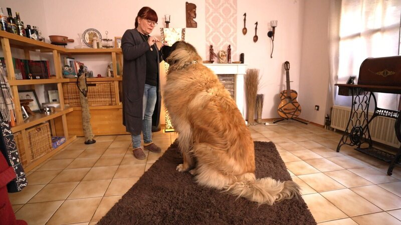Birgit Rademacher aus Eggenfelden mit ihrem Leonberger Günther. – Bild: RTL