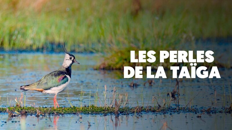 – Bild: Arte – Bild: Arte