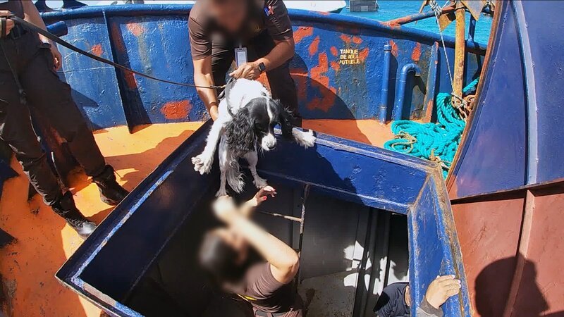 Die Zollbehörde untersucht ein Boot mit einem Hund an Bord. – Bild: Goya Productions