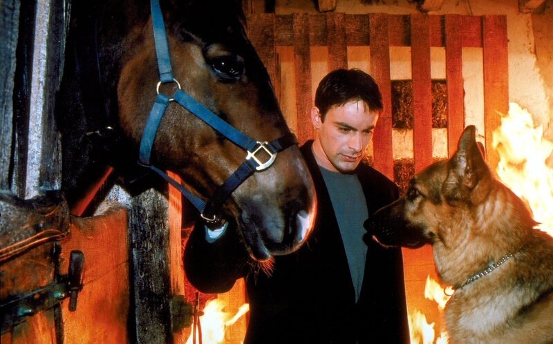 Gedeon Burkhard (Alexander Brandtner). – Bild: ORF/​Beta Film/​Ali Schafler