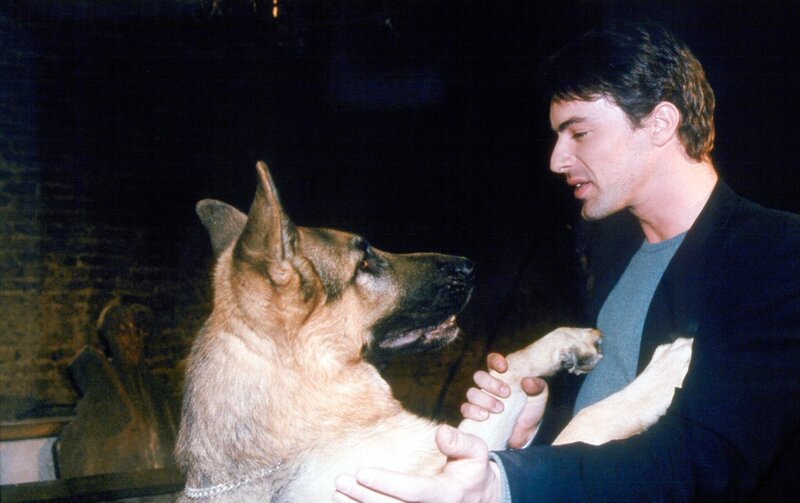 Gedeon Burkhard (Alexander Brandtner). – Bild: ORF/​Beta Film/​Ali Schafler