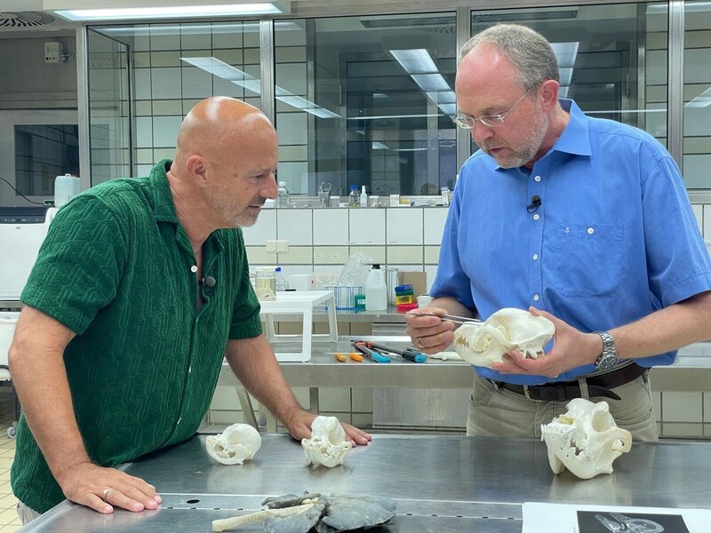 Detlef Steves (l.) und Professor Dr. Achim Gruber – Bild: RTL /​ Mina TV