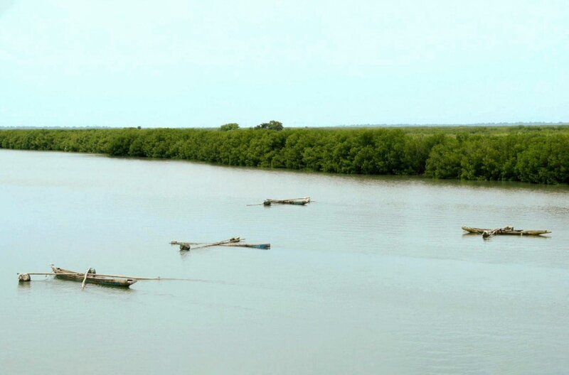 Die Casamance im Süden Senegals ist eine riesige „grüne Lunge“ mit einem Labyrinth aus Mangroven und heiligen Wäldern und erstreckt sich entlang des gleichnamigen Flusses. – Bild: Elephant Doc