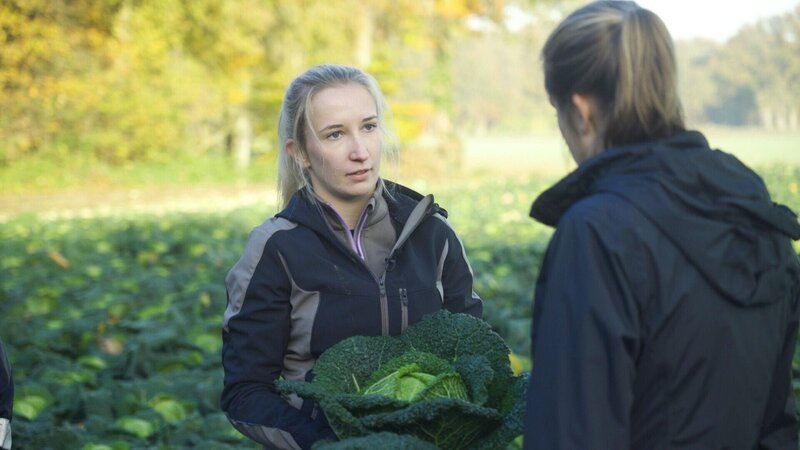 Begutachtung vom Wirsingkohl kurz vor der Ernte – Bild: RTL/​Weltenangler GmbH