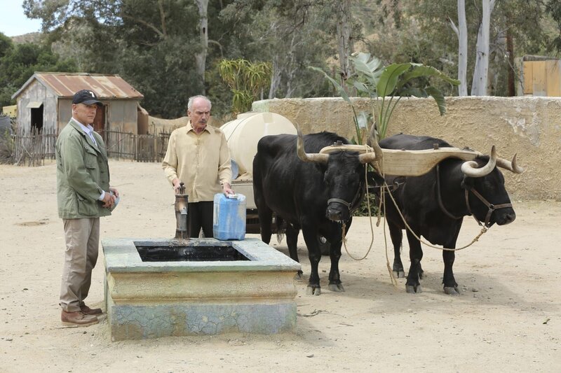 Auch Gibbs (Mark Harmon) versucht herauszufinden, wo sich der verschwundene Navy SEAL in dem von Rebellen kontrollierten Gebiet aufhält. Doch es gestaltet sich sehr schwierig, Hinweise zu bekommen … – Bild: PLURIMEDIA (CBS Broadcasting Inc.)