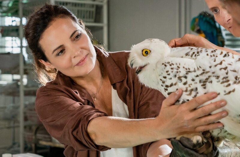 Tierärztin Dr. Susanne Mertens (Elisabeth Lanz, l.) behandelt eine Schneeeule, die die tropisch anmutenden Sommertemperaturen nicht zu vertragen scheint. Im Foto (v.l.n.r.): Dr. Susanne Mertens (Elisabeth Lanz), Tierpflegerin (Komparsin) – Bild: ARD/​Steffen Junghans /​ ARD-Programmdirektion