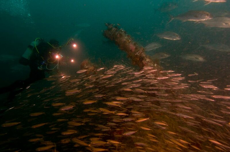 Divers explore the German U-Boat, U-352, whose remains were discovered in 1975 below 115 feet of water along Cape Hatteras. – Bild: National Oceanic and Atmospheric Administration (NOAA)National Ocean Service (NOS)Office of the National Marine Sanctuaries (ONMS)