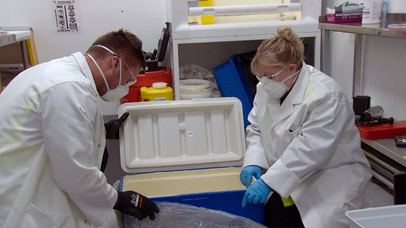 Bild: Seven Network (Operations) Limited