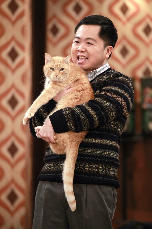 Noch ahnt Han (Matthew Moy) nicht, dass die Katze von Max und Caroline ein Geheimnis hütet … – Bild: PLURIMEDIA ()