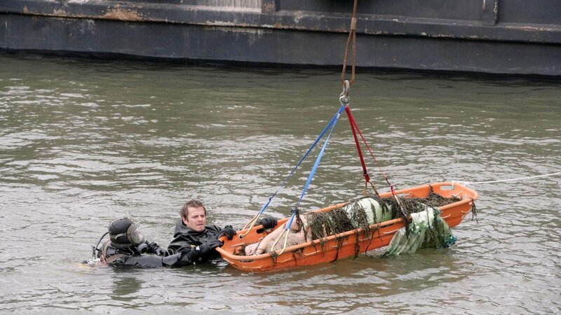In der Nähe der Docks wird eine Tote im Meerjungfrauenkostüm geborgen. Ein bei ihr gefundener Scheck führt Detective Danny Messer (Carmine Giovinazzo) auf die Spur des Mörders. – Bild: MG RTL D / CBS In der Nähe der Docks wird eine Tote im Meerjungfrauenkostüm geborgen. Ein bei ihr gefundener Scheck führt Detective Danny Messer (Carmine Giovinazzo) auf die Spur des Mörders. – Bild: MG RTL D / CBS