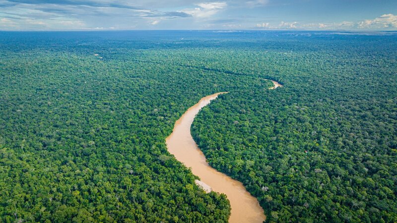 In Peru liegt eine der artenreichsten Regionen der Welt, wo die Anden enden und das Amazonasbecken beginnt. Der peruanische Teil des Amazonas-Regenwaldes ist ein wichtiges Rückzugsgebiet für bedrohte Tierarten. – Bild: ZDF und Oliver Roetz