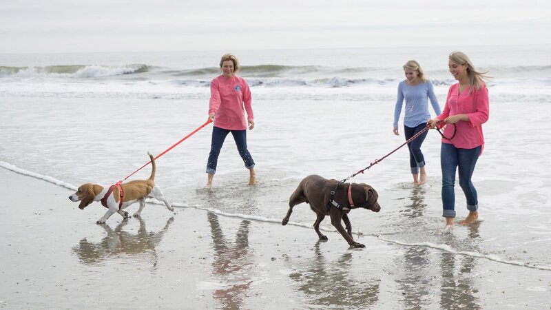 Homebuyer Deb and her daughters Ginny and Amanda take her dogs for a walk on the beach, as seen on HGTV’s Beach Hunters. – Bild: 2017,HGTV/​Scripps Networks, LLC. All Rights Reserved