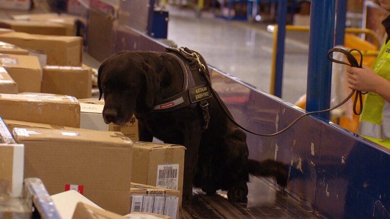 Bild: Seven Network (Operations) Limited