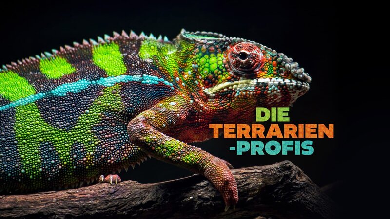 Bild: Warner Bros. Discovery