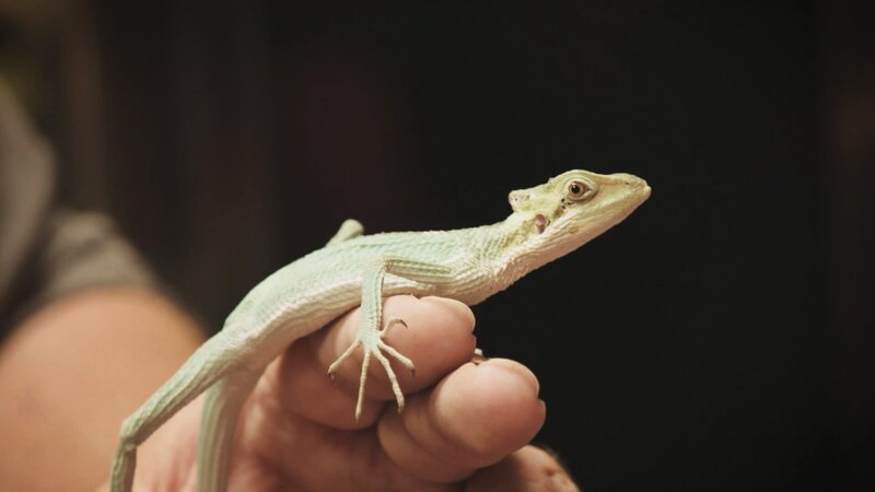 . – Bild: Warner Bros. Discovery