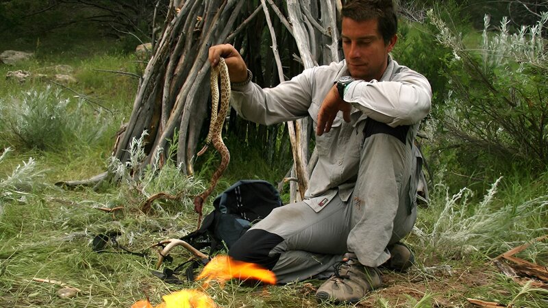 Bear Grylls holds snake next to dakota fire pit. – Bild: Discovery