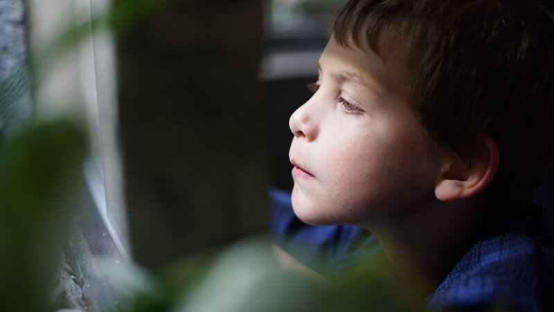 The youngest Dasch looks into one of the cages to check how one of the frogs is getting around. – Bild: Animal Planet /​ Discovery Communications