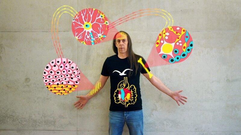 Altern ist mehr als graue Haare oder Falten, es ist ein komplexer Prozess: Organe, Gewebe, Zellen – alles in uns altert. – Bild: Curiosity Channel