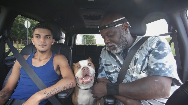 Minipants in the middle. – Bild: Animal Planet /​ Discovery Communications, LLC