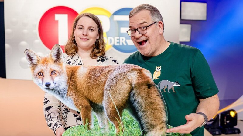 Wildtierbiologin Dr. Sophia Kimmig (l.) klärt im Studio über den Fuchs auf. – Bild: ZDF und Ruppografie – Nadine Rupp