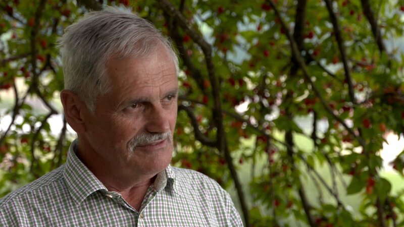 Altbürgermeister Anton Gonaus. – Bild: ORF/​Wolfgang Niedermair