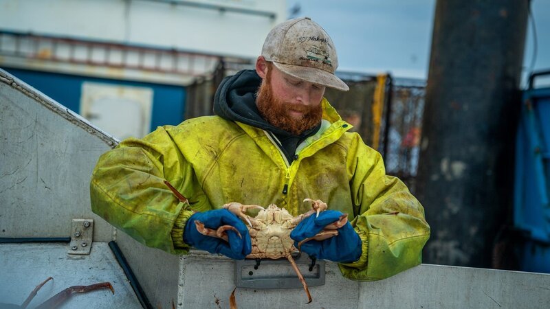 Summer Bay crew Nick sorting crab – Bild: Warner Bros. Discovery, Inc.
