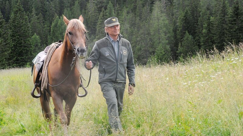 Pietro (Terence Hill) hat raetselhafte Kornkreise entdeckt. Verwendung nur in Verbindung mit Programmpromotion und Programmpresse. Jede andere Nutzung ist streng verboten.; Pietro (Terence Hill) hat raetselhafte Kornkreise entdeckt. Verwendung nur in Verbindung mit Programmpromotion und Programmpresse. Jede andere Nutzung ist streng verboten. – Bild: Lux Vide s.p.a/​Beta Film GmbH