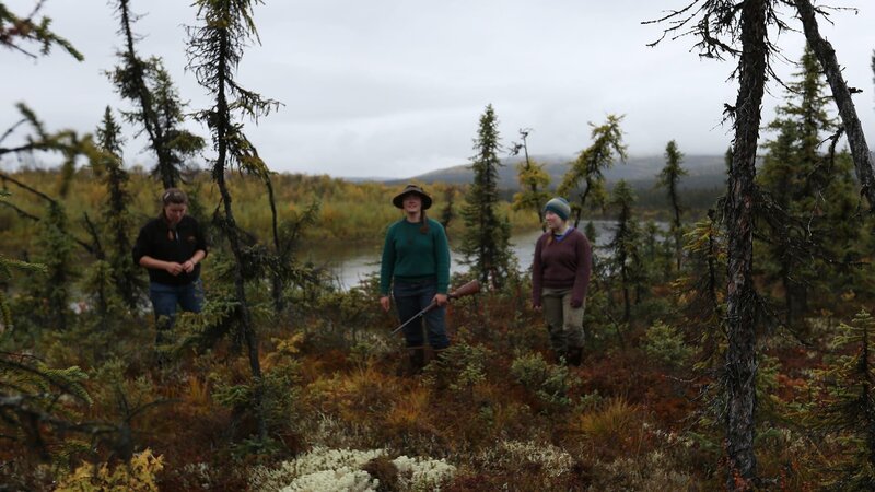 The Lewis’ sisters (left to right): Sarah Lewis, Molly Lewis & Emma Lewis walking through the Alaska Wilderness. – Bild: Discovery Communications