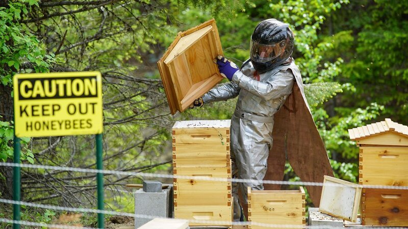 Matt Brown in Bee Suit. – Bild: Discovery Channel /​ Discovery Communications