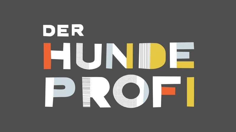 Das Logo zur Sendung „Der Hundeprofi“. – Bild: VOX
