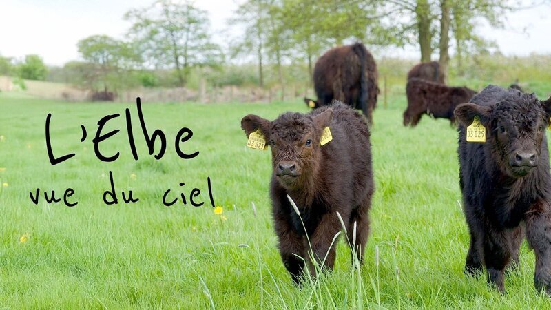 Bild: Arte