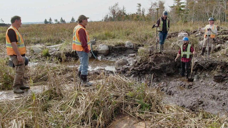 Bild: Prometheus Entertainment Lizenzbild frei