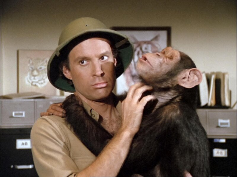 Das A-Team (Bild: Dwight Schultz als Murdock) ist nach Kenia gekommen, um die Tiere vor Wilderern zu schützen … – Bild: RTL II