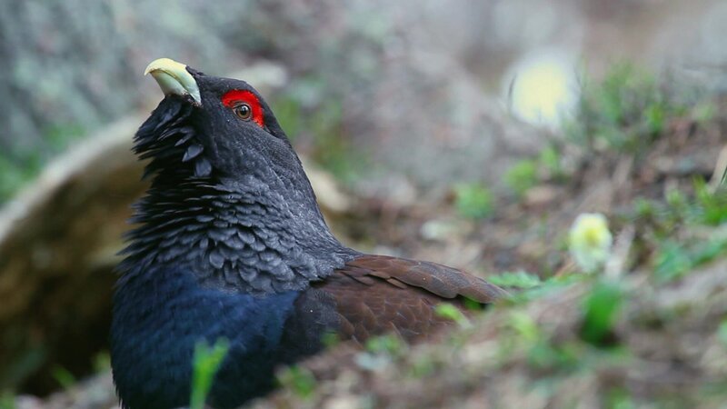 Bild: @Red Bull Media House/​ServusTV