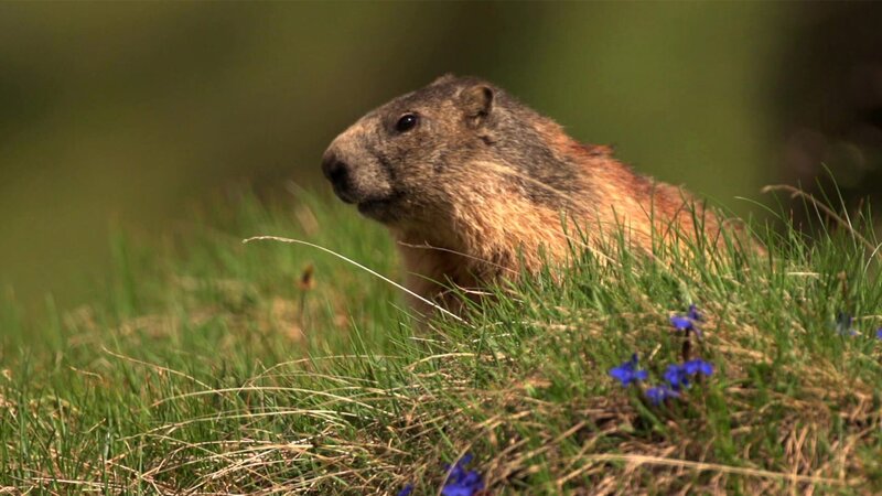 Bild: @Red Bull Media House/​ServusTV