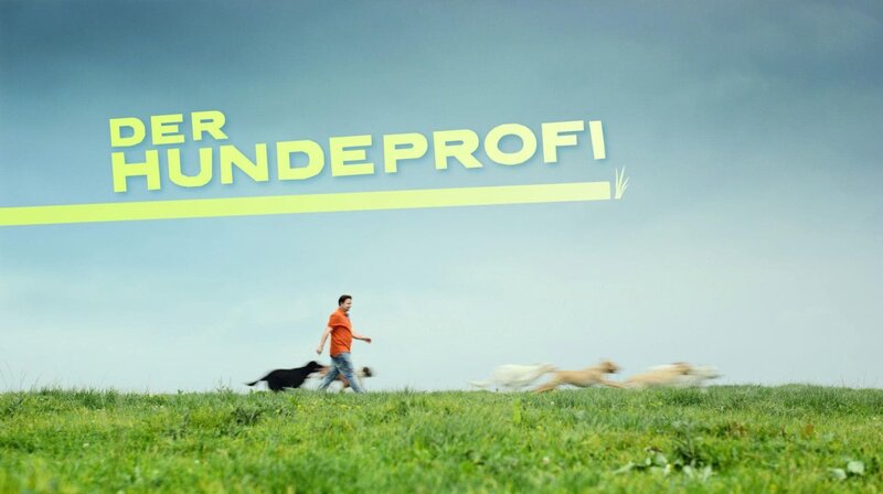 Der Hundeprofi – Title card – Bild: VOX