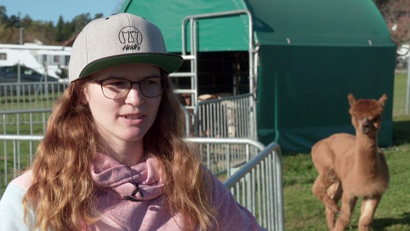 Heidi hat sich im Jahr 2022 mit einer Alpaka-Farm selbständig gemacht und braucht nun einen Transporter für die Tiere – Bild: RTLZWEI