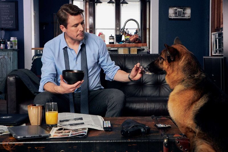 Detective Charlie Hudson (JOHN REARDON) and Rex – Bild: OPTN