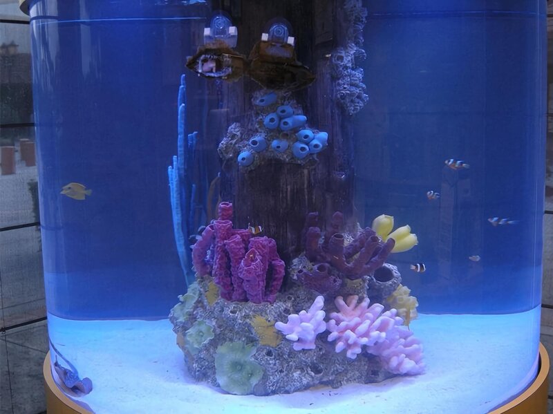 A bluespotted stingray swims on the bottom of Dr. Kawa’s new tank. – Bild: National Geographic Wild