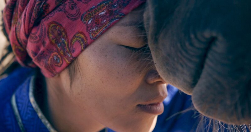 Schwarze Milch – Bild: Sven Zellner /​ BR