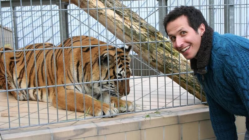 Willi in der Raubkatzenauffangstation in Ansbach-Wallersdorf.Honorarfrei lediglich fŸr AnkŸndigungen und Veršffentlichungen im Zusammenhang mit obiger BR-Sendung bei Nennung: Bild: BR/​megaherz gmbh. Andere Verwendungen nur nach entsprechender vorheriger schriftlicher Vereinbarung mit dem BR-Bildarchiv, Tel. 089 /​ 5900 10580, Fax 089 /​ 5900 10585, Mail Pressestelle.foto@br.de – Bild: ARD