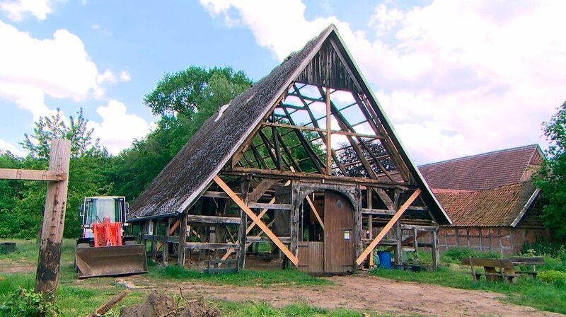 NDR Fernsehen DIE NORDSTORY – PRACHTVOLLE FACHWERKHÄUSER UND EDLE PFERDE, „Das Osnabrücker Land erleben“, am Freitag um 20:15 Uhr. Eine 300 Jahre alte Fachwerkkate bei Quakenbrück wird komplett saniert. – Bild: NDR/​MfG Film/​Petra Peters
