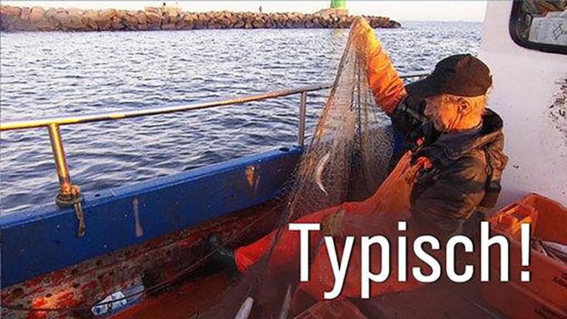 Typisch! – Logo – Bild: ARD