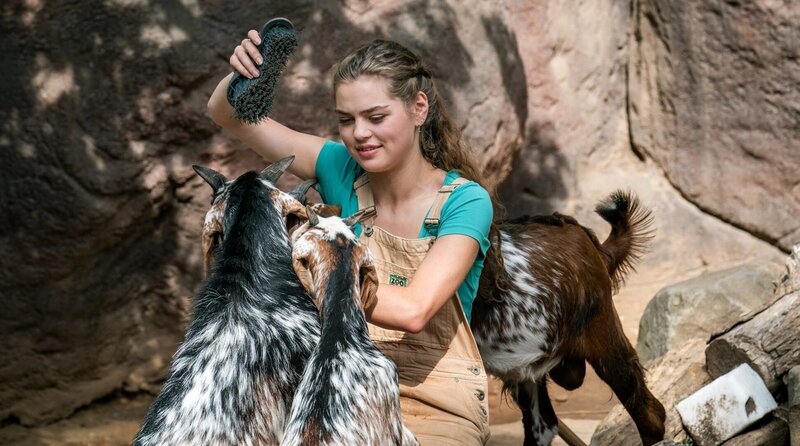 Die junge Praktikantin Luisa Mertens (Lilly Wiedemann) hat großen Spaß an der Arbeit mit den Tieren. Aber der erste große Patzer lässt nicht lange auf sich warten. – Bild: ARD/​Steffen Junghans