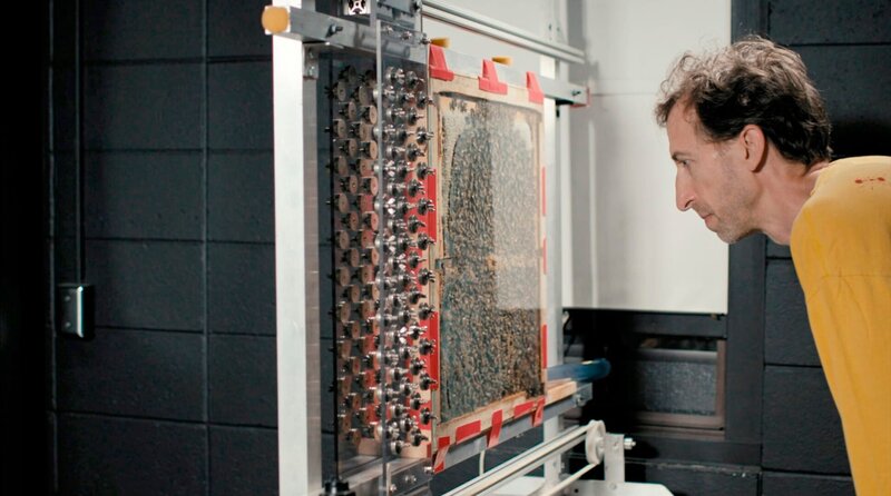 Wie die wilden Tiere schlafen – Bild: WDR/​taglicht media