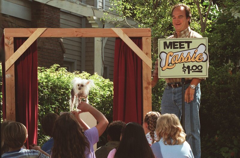Eigentlich wollte Jim (Jim Belushi) seine Kinder nur dazu ermutigen, sich mit einem Limonade-Stand ein wenig Taschengeld dazuzuverdienen, doch dann entsteht plötzlich ein Wettstreit mit den Nachbarn … – Bild: Disney