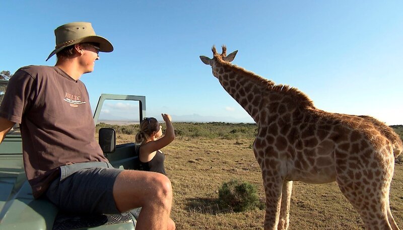 Ajane mag sich nicht von Tierpfleger Sebastian und Wildhüterin Liezel trennen. – Bild: NDR/​Vincent TV GmbH