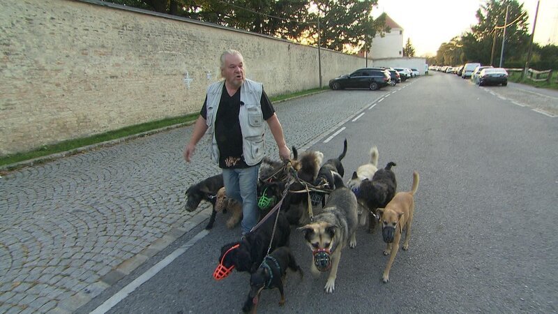 Bild: ATV