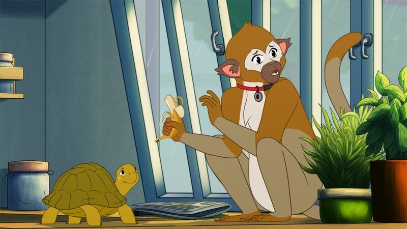 Affe Simi (r.) hat sich im Haus von Josefines Familie versteckt und Schildkröte Törtel (l.) gleich mitgenommen. Doch die beiden bleiben nicht lange unentdeckt. – Bild: ZDF