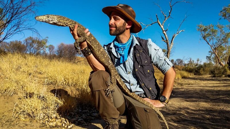 Coyote holds the perentie. – Bild: Discovery Communications, LLC